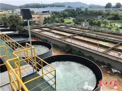 九峰明渠臨時(shí)污水處理設(shè)施高效運(yùn)行，顯著削減入東湖污水量